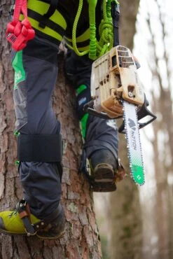 Notch Steigeisen Gecko Steel -Forstmaschinengeschäft 56 249 3