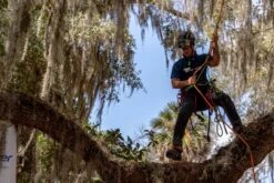 Teufelberger Baumklettergurt Treemotion Pro -Forstmaschinengeschäft 56 554 6 j22