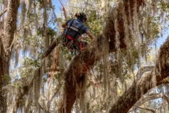 Teufelberger Baumklettergurt Treemotion Pro -Forstmaschinengeschäft 56 554 7 j22