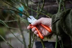 Löwe Amboss-Schere Nr. 5 Standardausführung 10 Löwe Amboss-Schere Nr. 5 Standardausführung -Forstmaschinengeschäft 64 120 6 j23