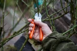 Löwe Amboss-Schere Nr. 5 Standardausführung 11 Löwe Amboss-Schere Nr. 5 Standardausführung -Forstmaschinengeschäft 64 120 7 j23