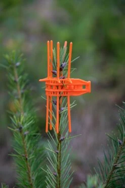 PlantaGard Verbissschutzmanschette Cactus