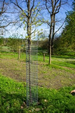 PlantaGard Einzelbaumschutz-Drahtelement 150 X 35 Cm -Forstmaschinengeschäft 73 341 150 3 j21