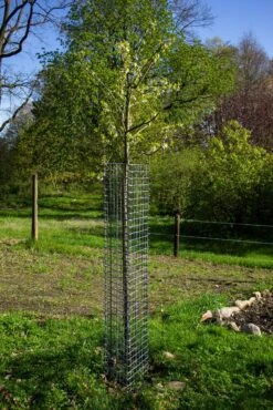 PlantaGard Einzelbaumschutz-Drahtelement 150 X 35 Cm -Forstmaschinengeschäft 73 341 150 4 j21