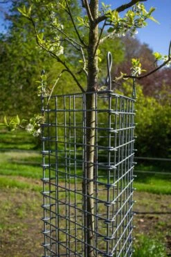 PlantaGard Einzelbaumschutz-Drahtelement 150 X 35 Cm -Forstmaschinengeschäft 73 341 150 5 j21