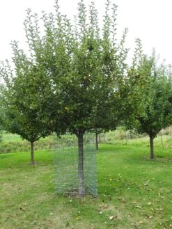 PlantaGard Einzelbaumschutz-Drahtelement 150 X 100 Cm -Forstmaschinengeschäft 73 342 150 1 j21