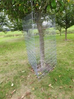 PlantaGard Einzelbaumschutz-Drahtelement 150 X 100 Cm -Forstmaschinengeschäft 73 342 150 4 j22