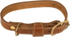 Hundehalsung Aus Rind-Vollleder