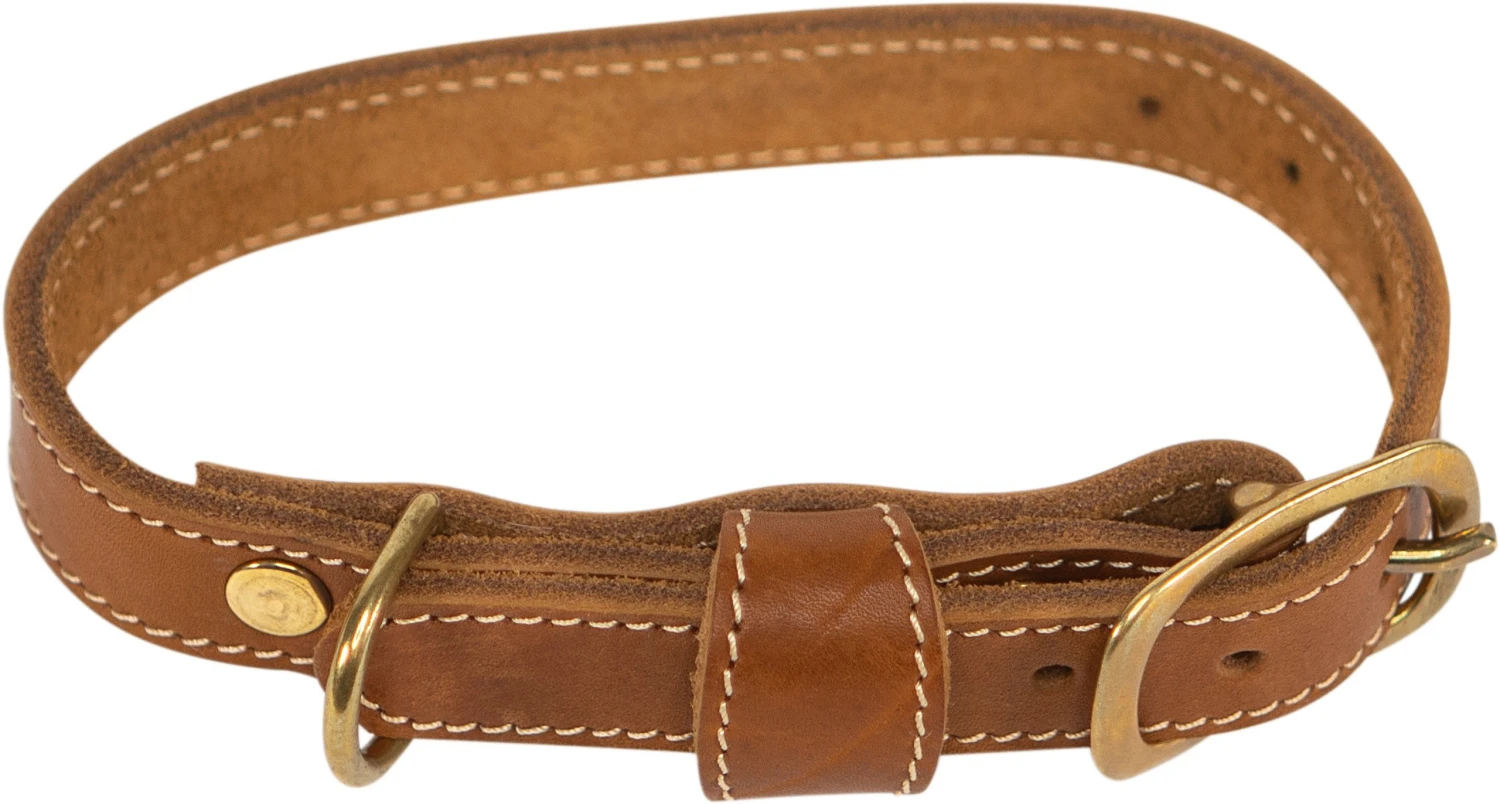 Hundehalsung Aus Rind-Vollleder 1 Hundehalsung Aus Rind-Vollleder