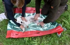 Hunderettungsdecke -Forstmaschinengeschäft 82 439 3 j19