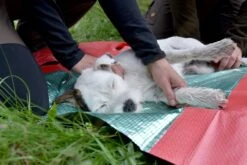 Hunderettungsdecke -Forstmaschinengeschäft 82 439 4 j19