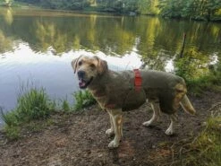 Siccaro Hundetrockenmantel Supreme 2.0 -Forstmaschinengeschäft 87 380 01 3 j23