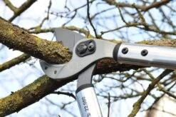 Amboss-Astschere Löwe Nr. 22 6 Amboss-Astschere Löwe Nr. 22 -Forstmaschinengeschäft B 64 285 80 4 j16