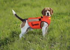 Browning Hundeschutzweste Protect Hunter -Forstmaschinengeschäft B 72 384 2 j14