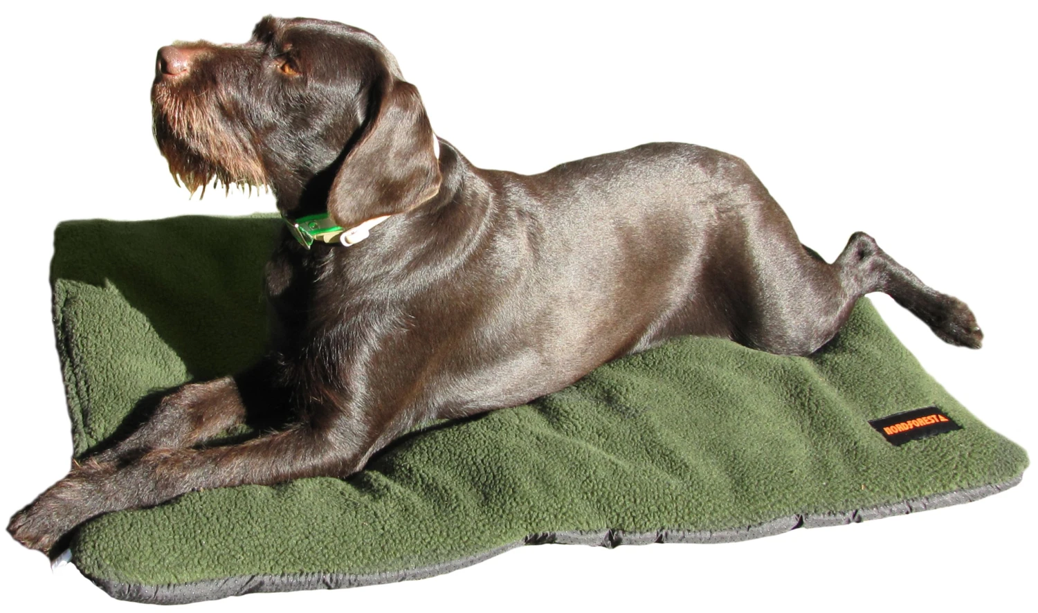 Nordforest Faserpelz-Hundedecke 1 Nordforest Faserpelz-Hundedecke