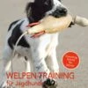 Welpen-Training Für Jagdhunde - Das 24 Wochen-Ausbildungsprogramm