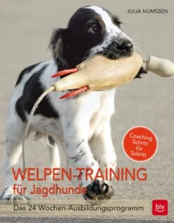 Welpen-Training Für Jagdhunde - Das 24 Wochen-Ausbildungsprogramm