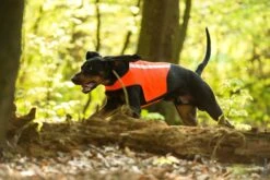Rüdemeister Hundewarnweste -Forstmaschinengeschäft B 82 618 01 5 C j18