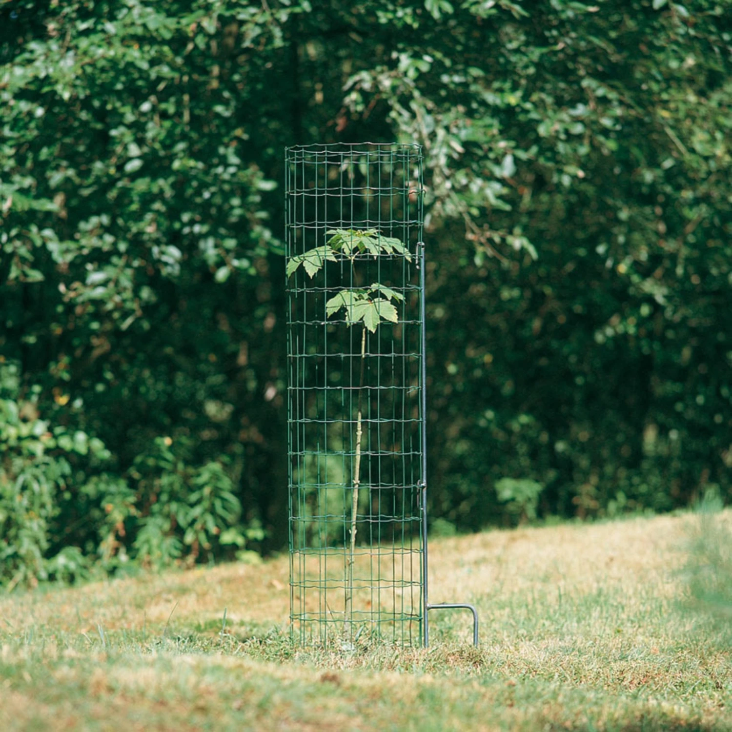 PlantaGard Langzeitbaumschutz 1 PlantaGard Langzeitbaumschutz