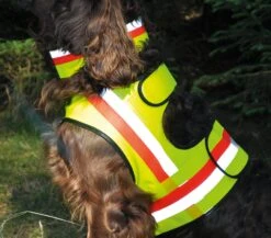 Hundewarnweste