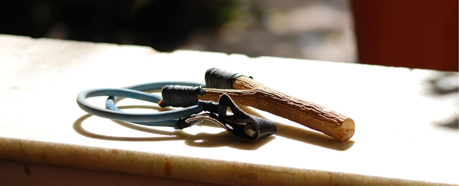 Forstmaschinengeschäft 14 Forstmaschinengeschäft -Forstmaschinengeschäft hunting 1505594 1920