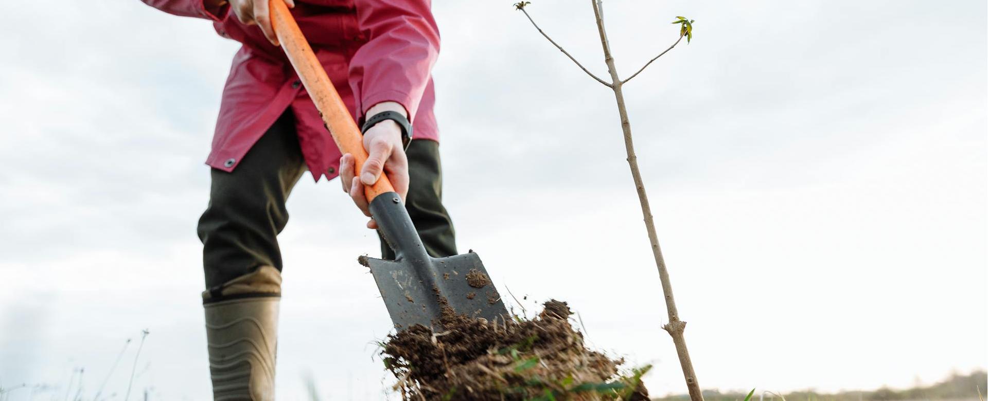 Forstmaschinengeschäft 1 Forstmaschinengeschäft -Forstmaschinengeschäft pexels thirdman 7656731